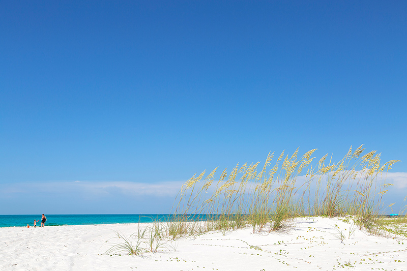 Image for Inlet Beach