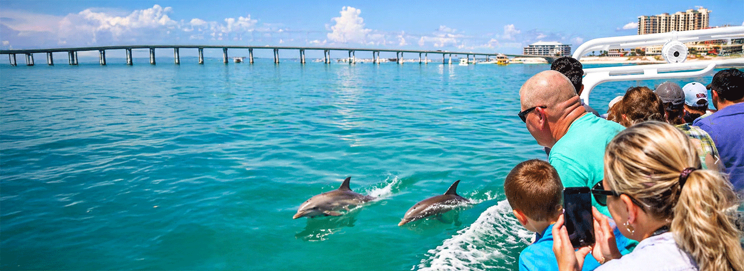 Image for Hero Banner