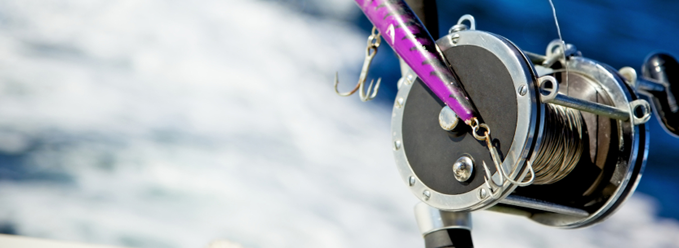 Image for Hero Banner