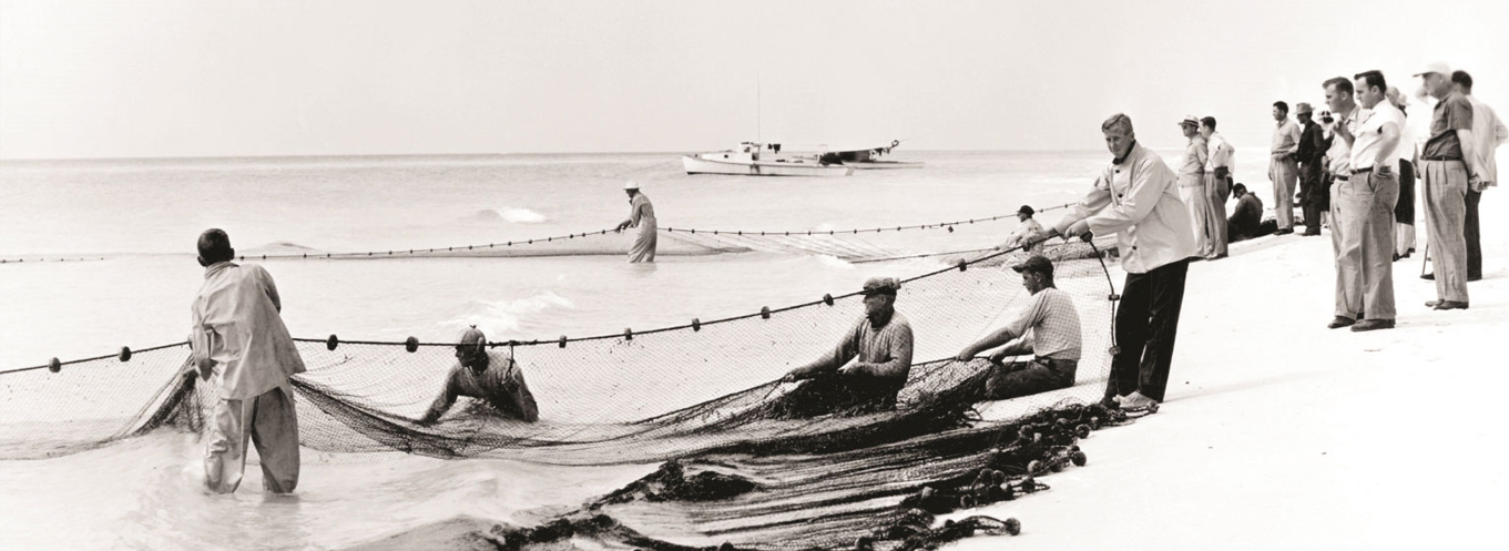 Image for Hero Banner