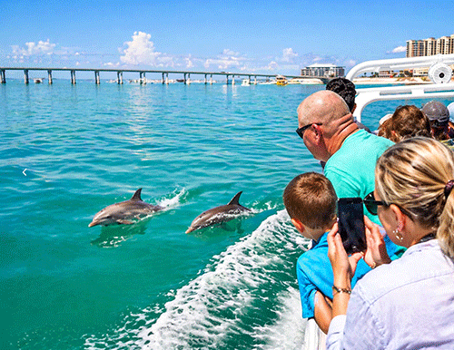 Image for Reef Rewards Cruises & Tours