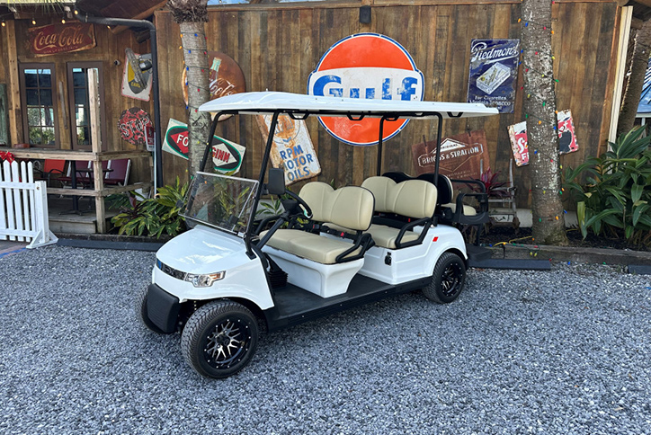 Image for Things To Do Discount Golf Cart Rentals from the Electric Cart Company
