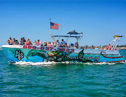 Image for Things To Do Tickets for SeaQuest Sunset Dolphin Sightseeing Tour