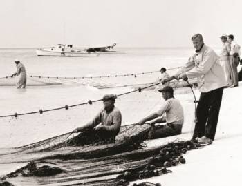 Image for Reef Rewards Free Museum Tickets