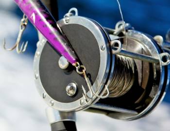 Image for Reef Rewards Discounted Fishing Boat Rentals