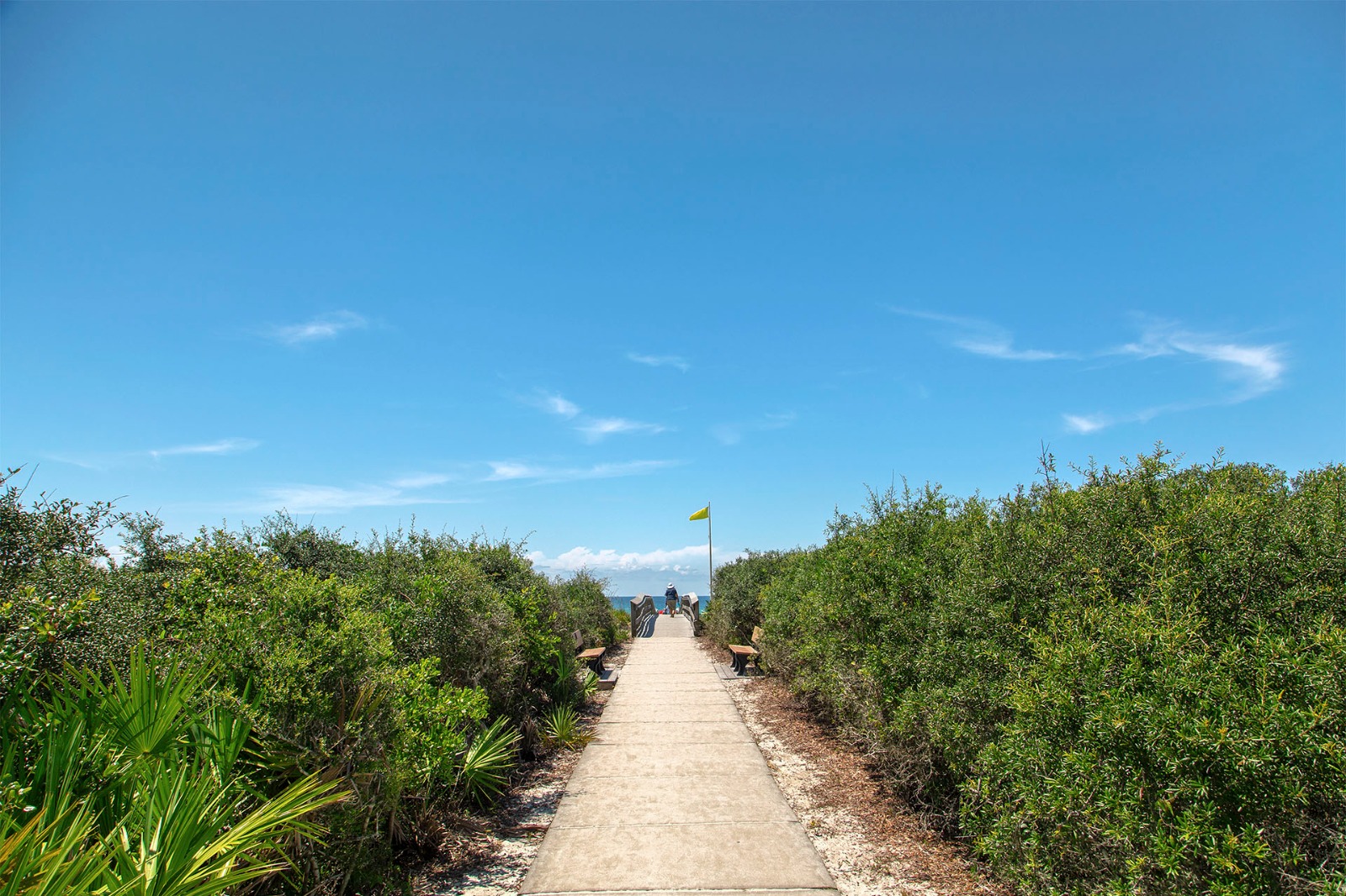 Inlet Dunes 5