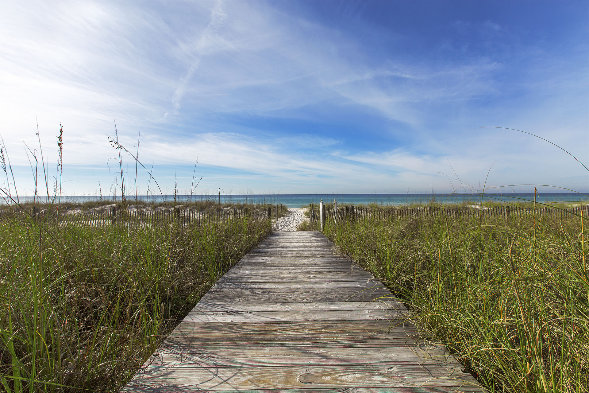 Southern Exposures 2