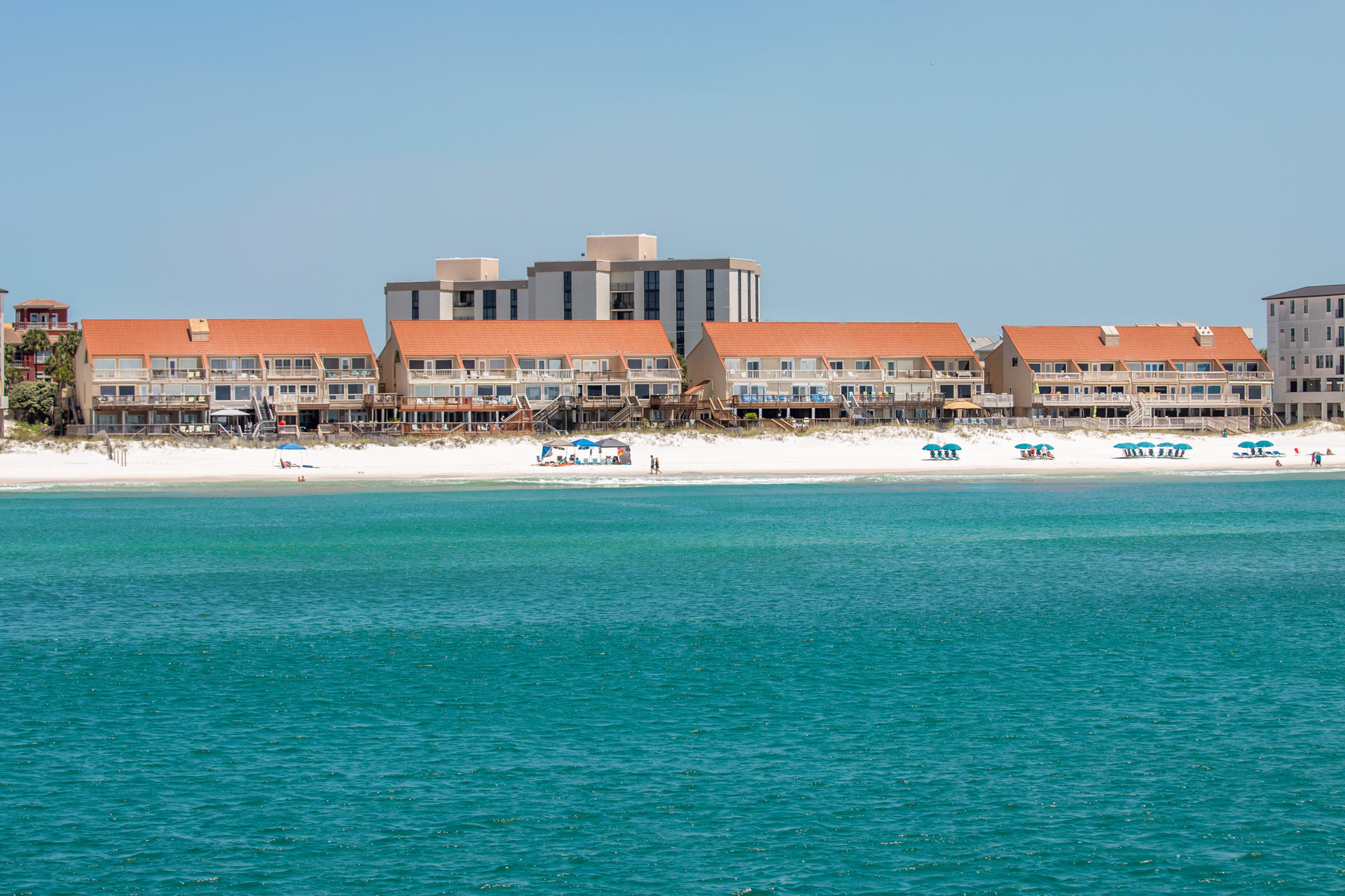 Image for Green Reef