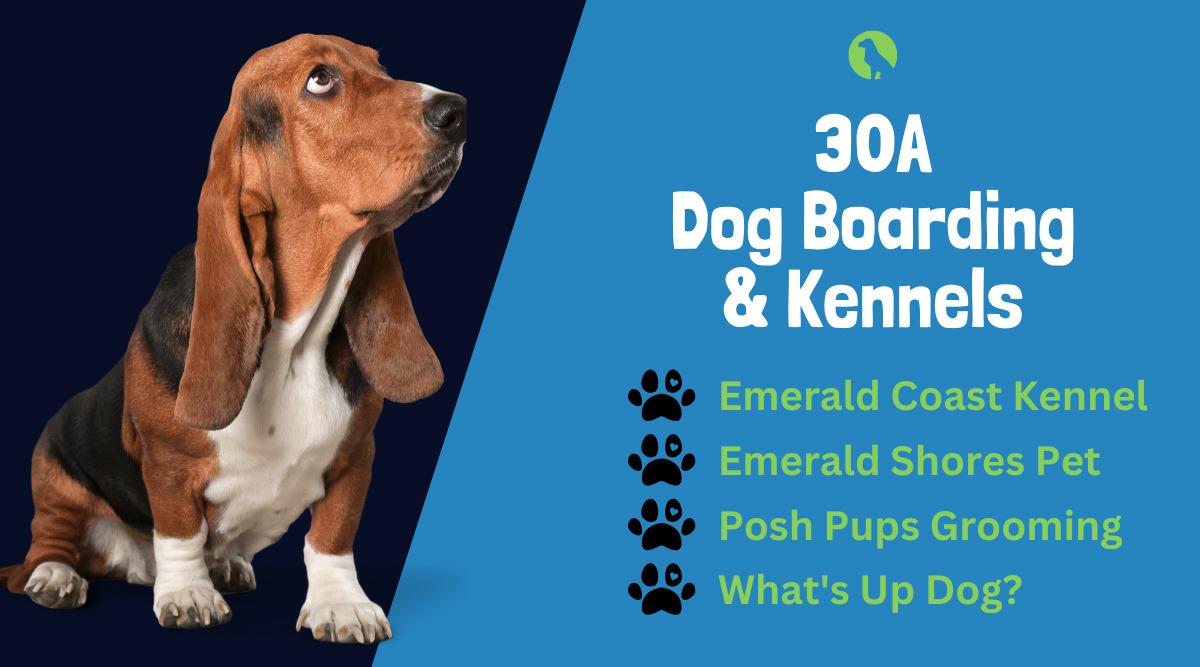 30A Dog Boarding & Kennels
