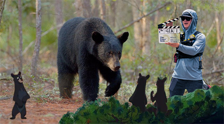 The Paper Bear: A Northwest Florida Cinematic Adventure