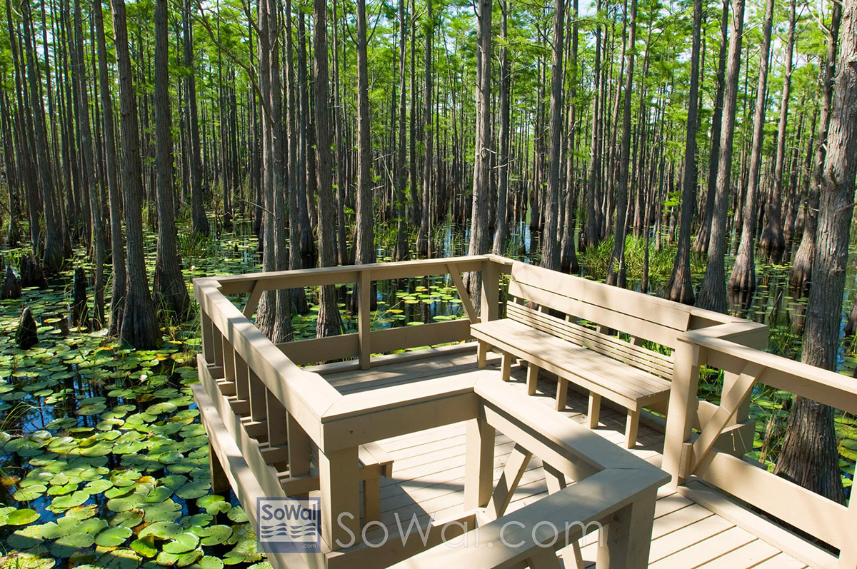 Cypress South Walton