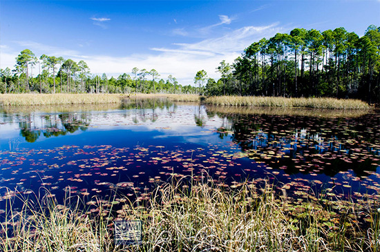 Deer Lake