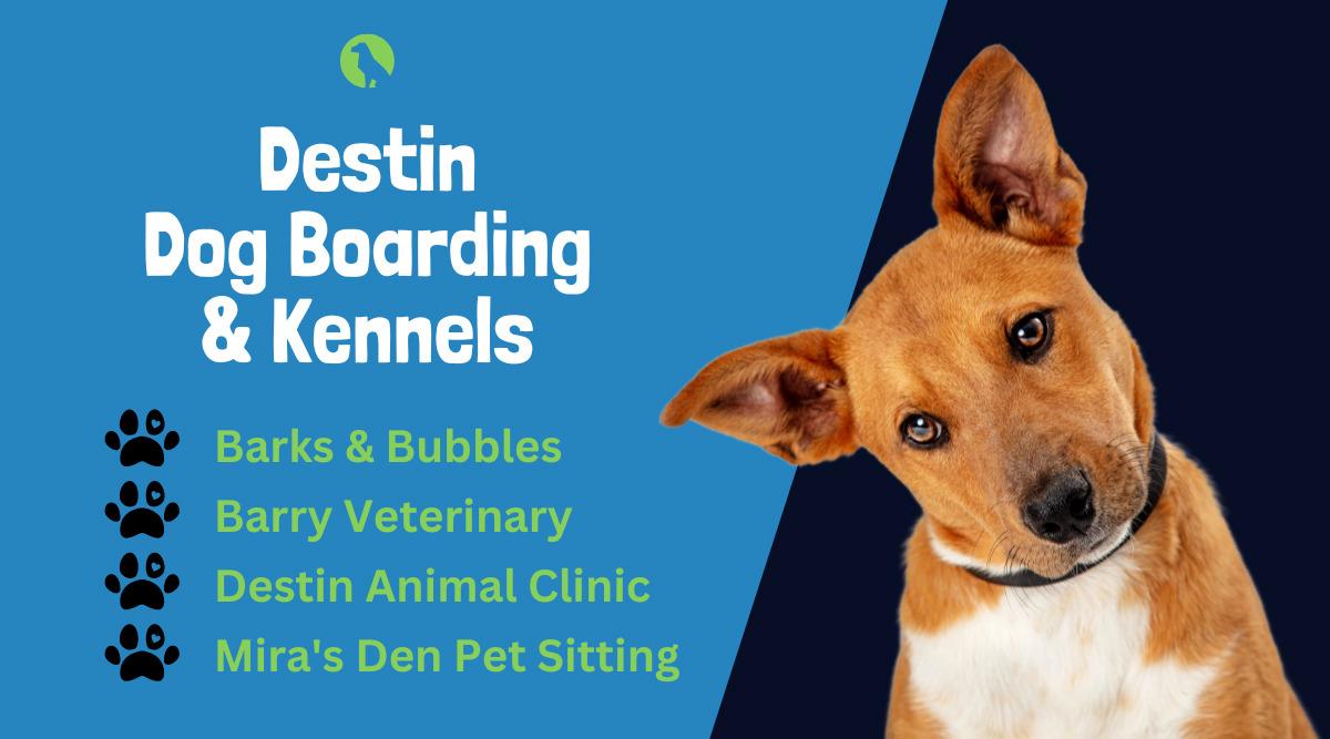 Destin Dog Boarding & Kennels