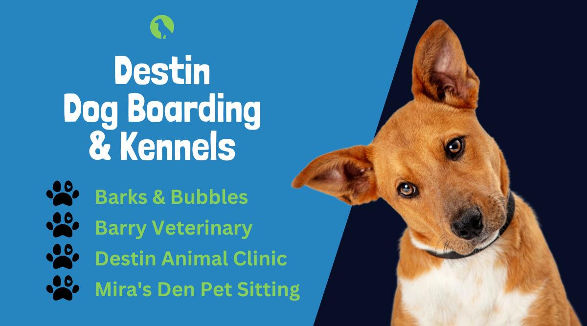 Lynn lane deals boarding kennels