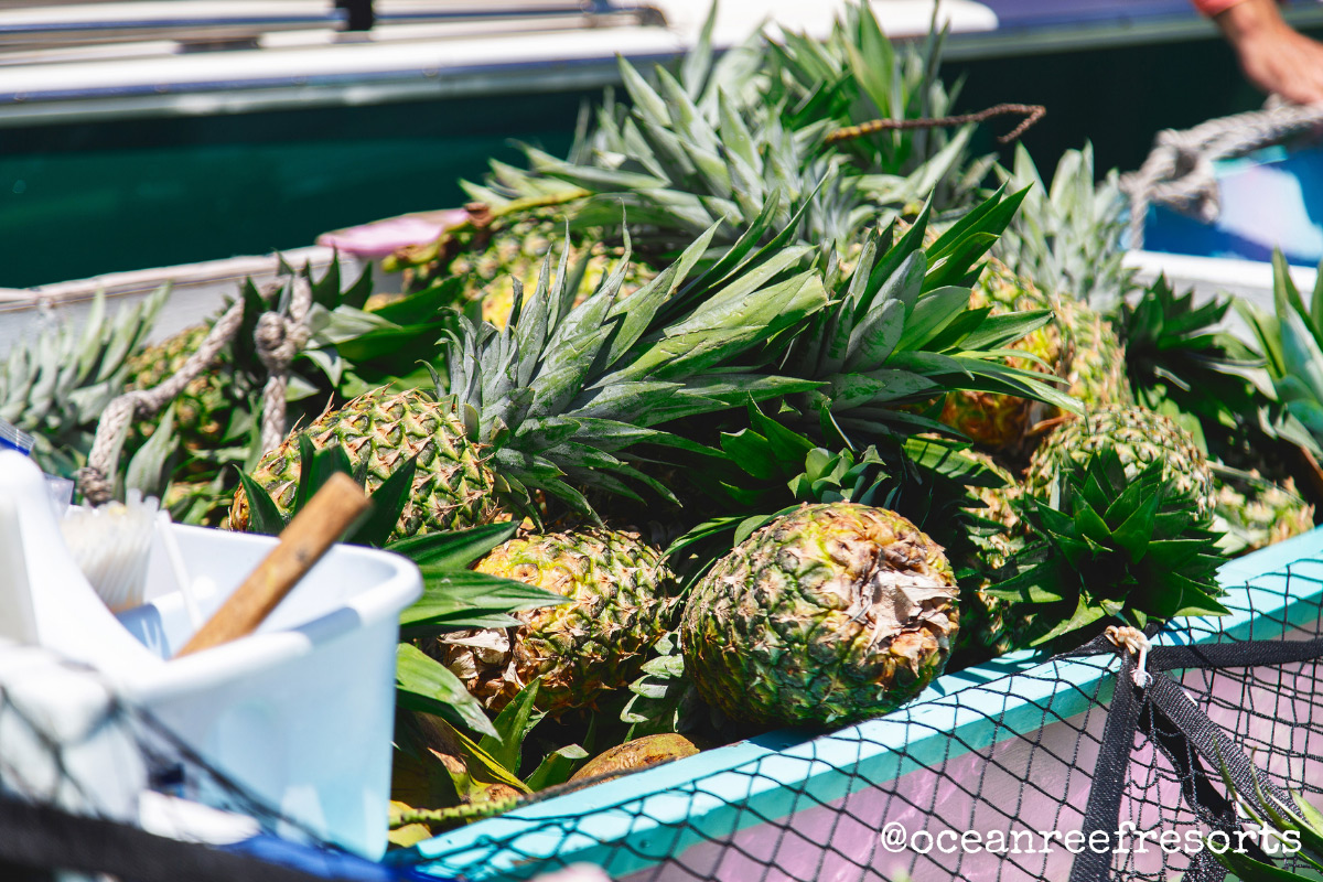 Destin Pineapple Boat