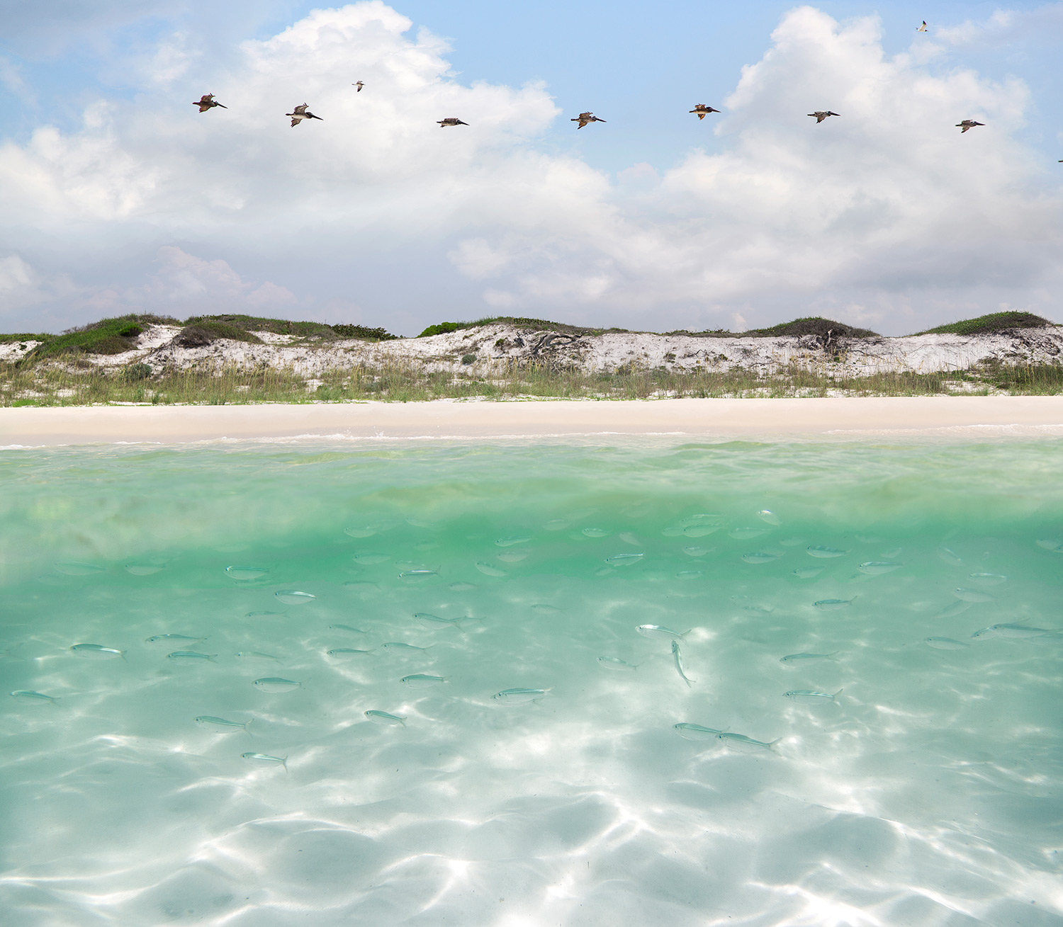 Destin Gulf Water