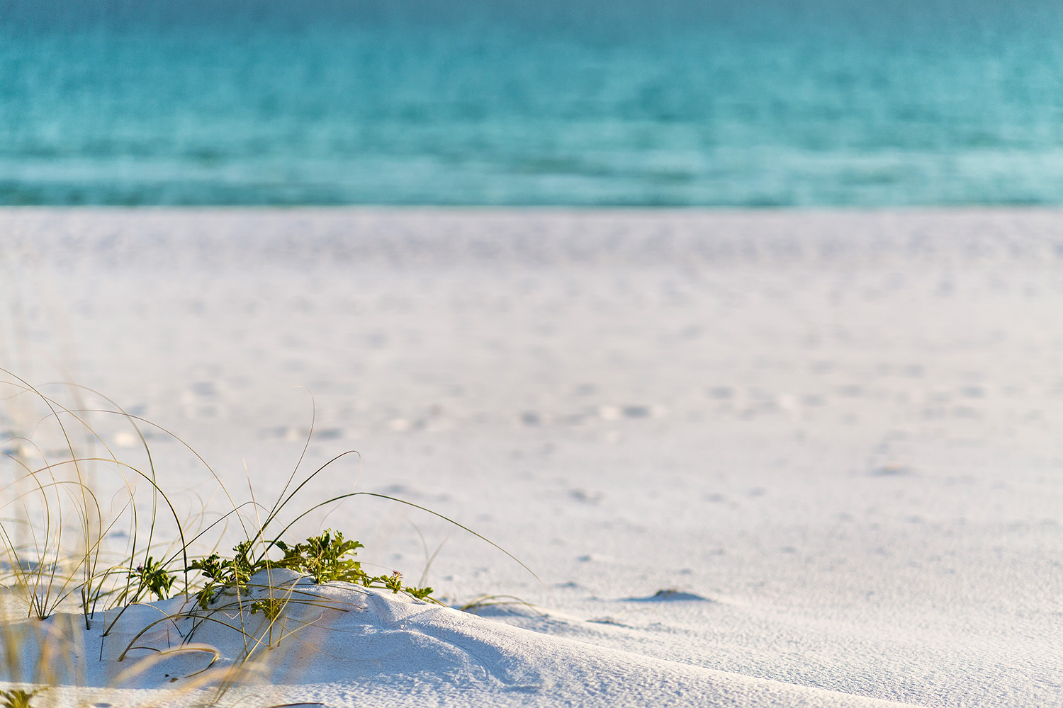 Destin White Sand
