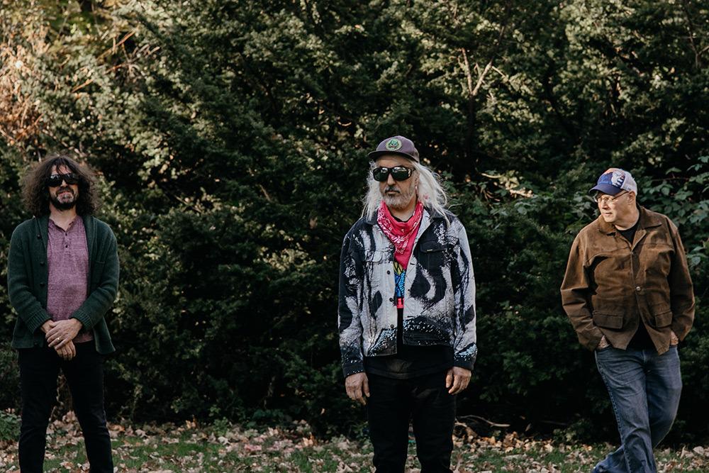 Dinosaur JR