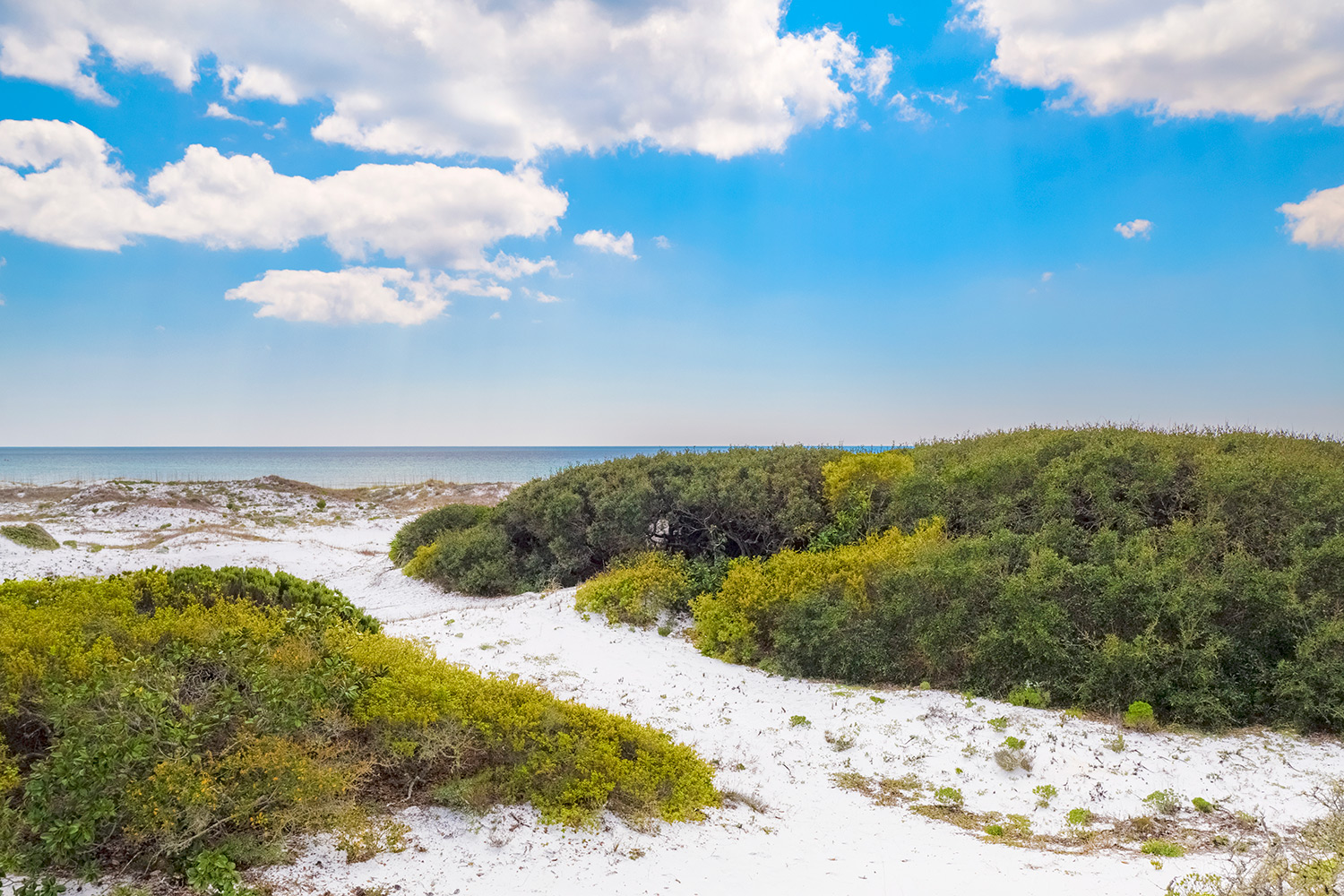 Grayton Beach State Park