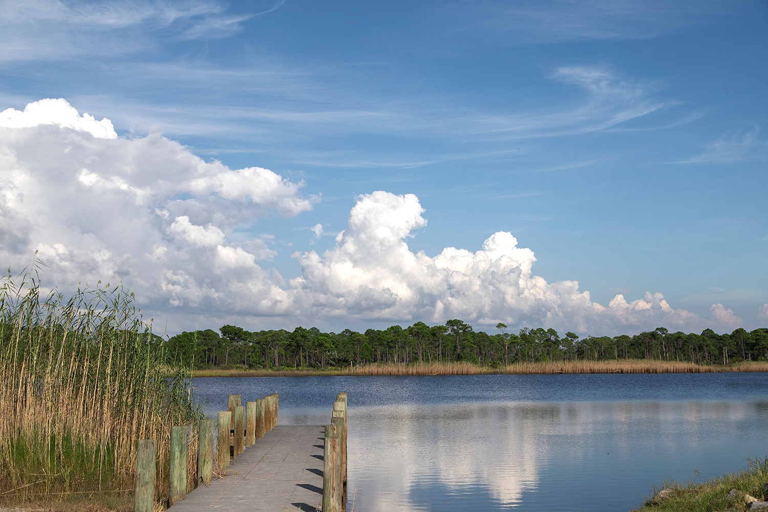 Grayton Beach Dock