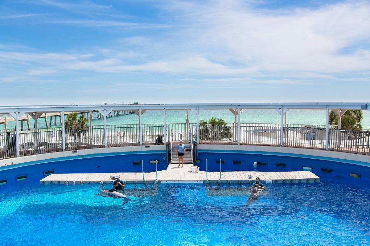 Gulfarium Marine Adventure Park
