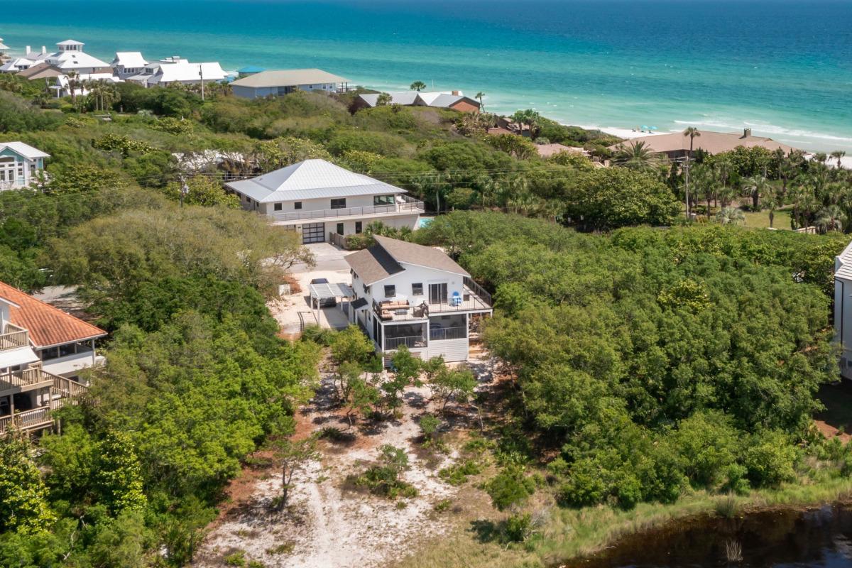 Here Comes the Sun Dune Allen