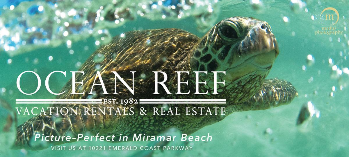 Honu Ocean Reef Billboard x Modus Photography