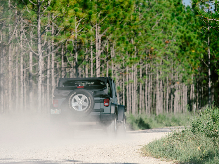 Jeep Trails