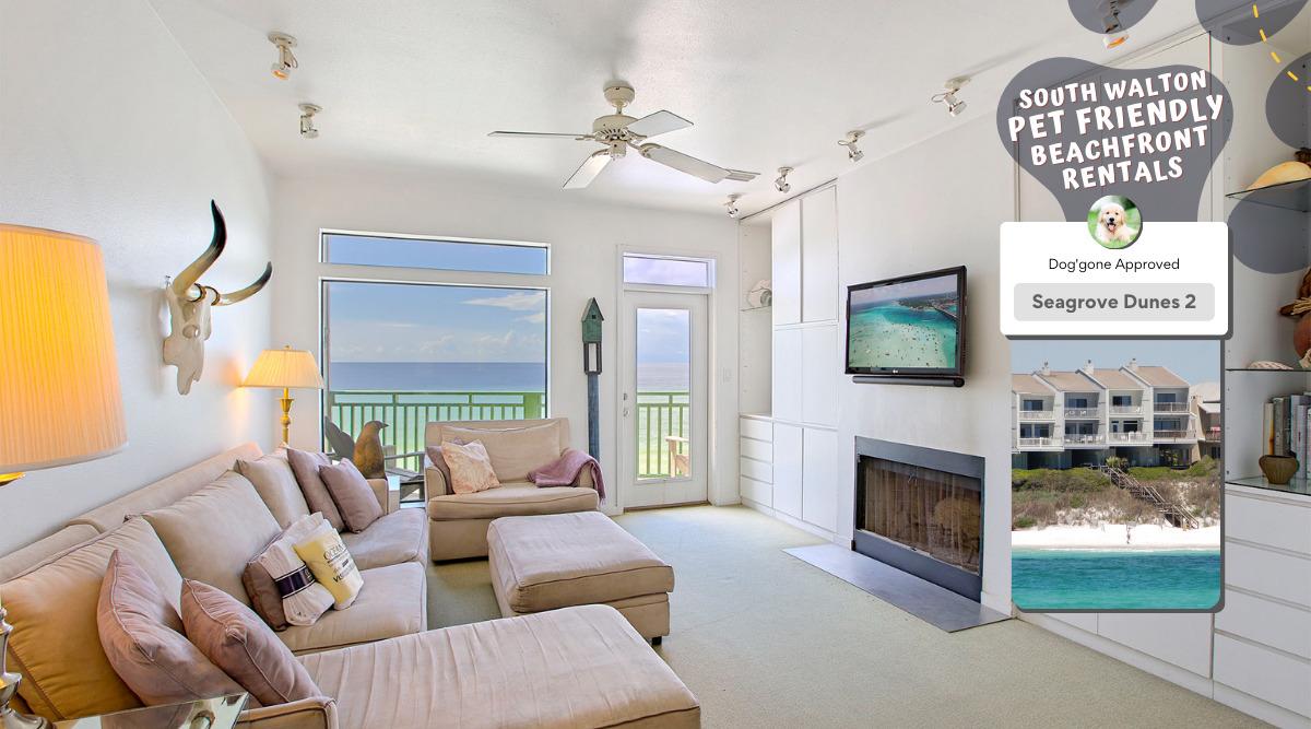 Seagrove Dunes 2 Pet Friendly Rental