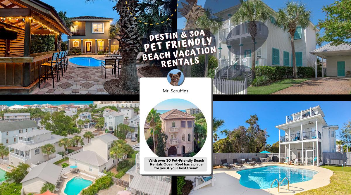 South Walton & Destin Pet Friendly Rentals