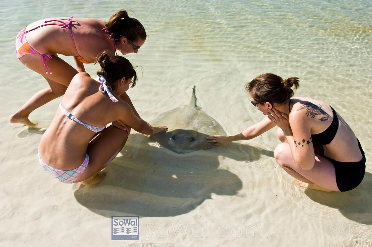South Walton Stingray
